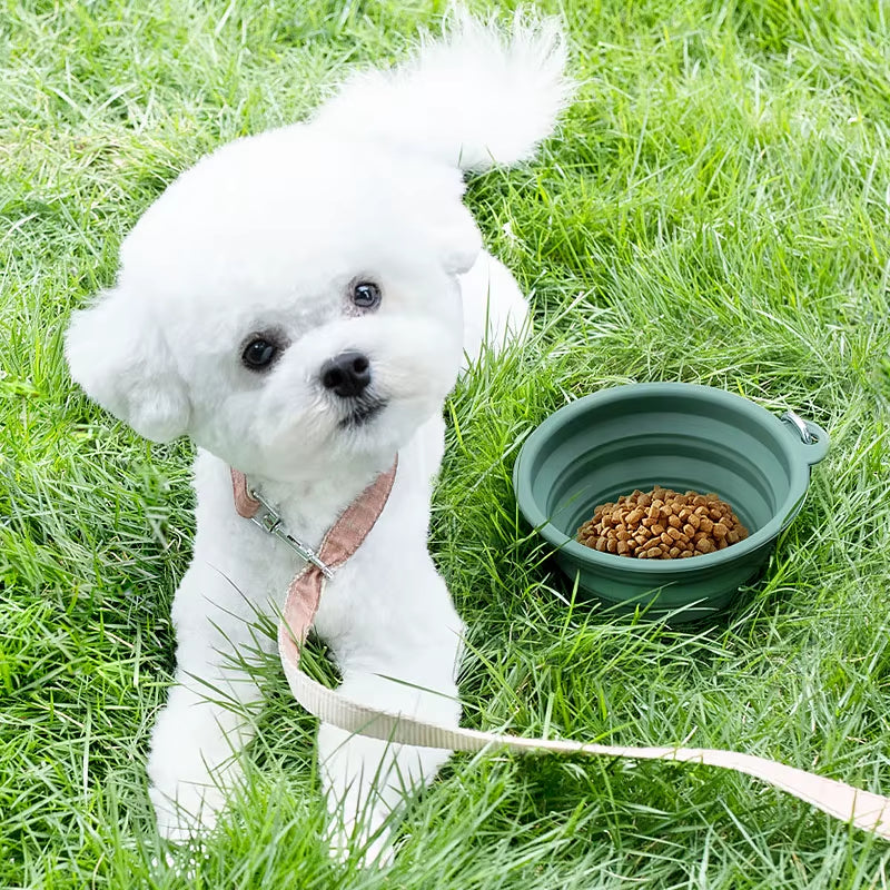 Custom Logo Pet Folding Silicone Bowl Outdoor Easy Washable Foldable Dog Bowl Collapsible Puppy Bowl with Carabiners