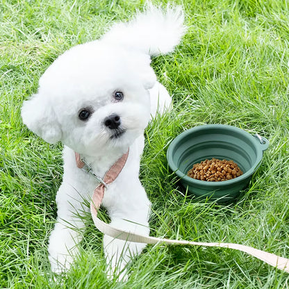 Custom Logo Pet Folding Silicone Bowl Outdoor Easy Washable Foldable Dog Bowl Collapsible Puppy Bowl with Carabiners